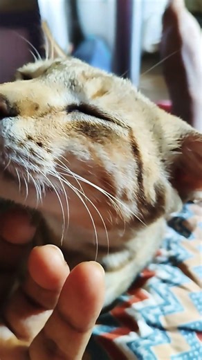 1 பிப்ரவரி, 2026