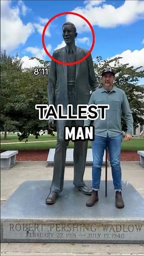 The Craziest Height Comparison Ever Recorded 😱 #heightcomparison #giant #tallestman