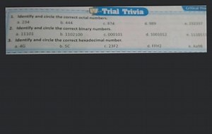 Identify and circle the correct octal numbers.... | Filo