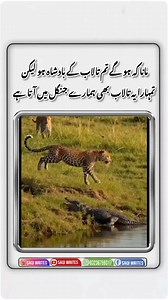 1.1K views · 89K reactions | SaQi Writes on Reels | Facebook