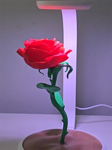 3D Printed Rose lamp inspired from Beauty and the Beast!🌹 💻File: Makerworld 👑Designer: @A_ilterish #fyp #3dprinting #rose #beautiful #3dprint