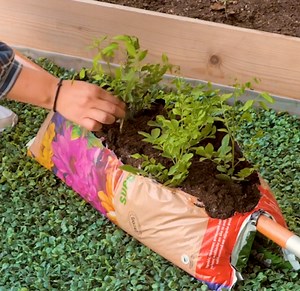 151K views · 420 reactions | Busy Life? These Quick Garden Ideas Work Wonders | 5-Minute MAGIC | Facebook