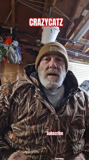 Crazycatz 😼 🤪 #cat #funny #catshorts #shorts #cute #catvideos #cats
