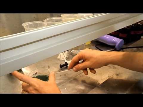 Video #29 Vibrio monitoring procedures using TCBS agar plates