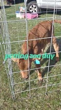 we had an amazing busy day thanks to our community coming out and and showing so much love ❤️