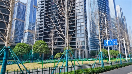 Tall Buildings Rise Beside Winter Trees China