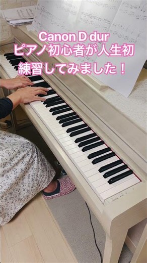 Canon D dur ピアノ初心者