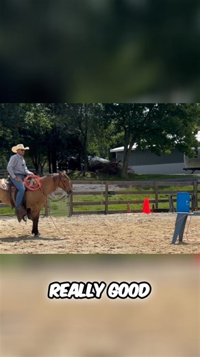 This trainer gets horses comfortable with roping. First, they're introduced to noises and rope movements from different angles. This way, when it's time to rope the dummy, the horse focuses and doesn't spook. So smart! #HorseTraining #Roping #Equestrian #Horsemanship #Cowboy #Horses | Remount Horsemanship Inc.