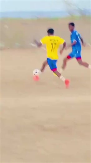 Effective Pest Control Techniques for Homeowners