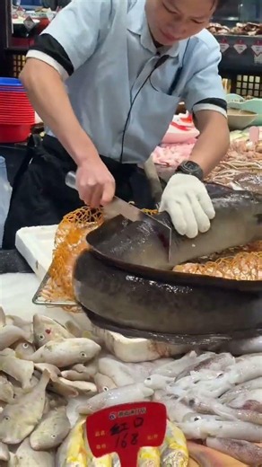 Giant Eel Fish Cutting Skills at Seafood Market | Amazing Fish Processing | Satisfying Seafood