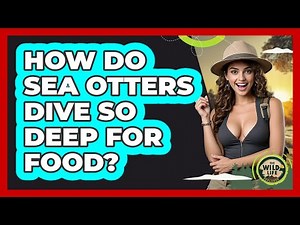 How Do Sea Otters Dive So Deep For Food? - The Wild Life Explorer