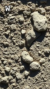 Scientists recently discovered that 2,000-year-old Roman concrete can surprisingly repair its own cracks. Packed with unique lime chunks, the ancient mix reacts with water to form a "liquid stone" that heals damage over time. This self-healing ability is a key reason why structures like the Pantheon remain standing today. #fblifestyle | What's Real