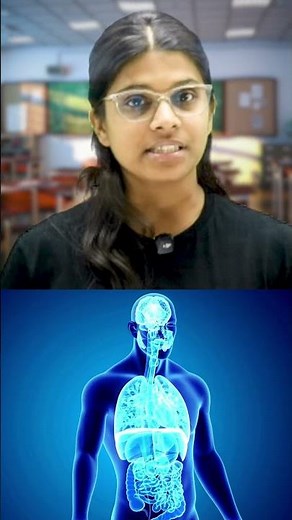 What is Muscles Memory? - Vidhi Mam #maharashtraboard #shortsfeed #shorts #science8th #ytshorts