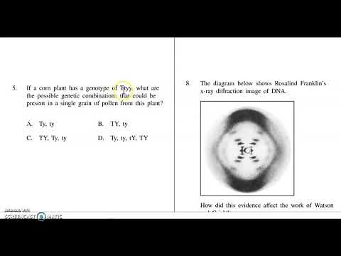 Biology EOC Review Part 1 Ms. P Teach Me (Georgia Milestones Biology)