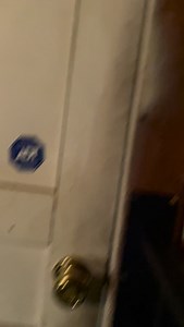 Halo being cute! | William Halter