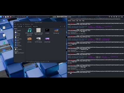 Introduction to Digital Forensics, Steganography Activity and Quiz.