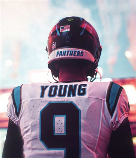 NFL Season Finale: Reflecting on a Memorable Journey