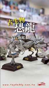 NTC圖鑑古生物恐龍系列扭蛋