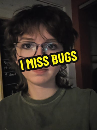 The Decline of Bugs: Insects Disappearing Each Summer