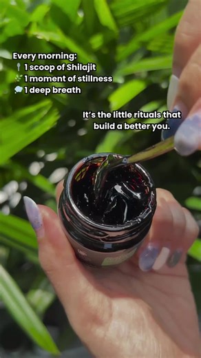 Himalayan Shilajit: The Ancient Resin for Vitality