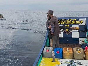 long line fishing, mackerel fishing #fishing #fishinglife #pesca #fypシ゚ #fishingvideos | Zami Akbar
