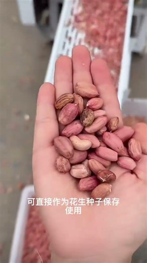 Automatic Peanut Sheller for Farms#agriculturalequipment #farmmachinery #PeanutSheller #peanut