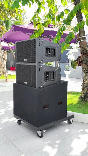 22K views · 423 reactions | DAVS DS12N - array bass 30 từ neo cực chất, cực rẻ cho khách. LH: 0904.258.100 #davs #ds12n #speaker #array #loasankhau #loa #DAVS #dailienthanh | Davs.vn | Facebook