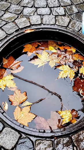 Effective Drain Cleaner for Tough Clogs and Build Up