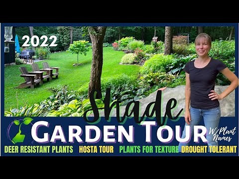 2022 FULL SHADE GARDEN TOUR w/PLANT NAMES // HOSTAS // DROUGHT TOLERANT & DEER RESISTANT PLANTS