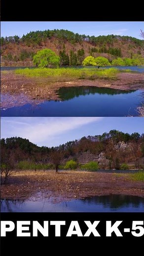 水窪ダムの水没林 2026 【山形県米沢市】#スナップ写真 #japan #日本一周 #回想 #風景写真