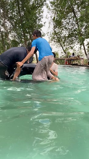 122K views · 943 reactions | Swimming pool party #facebook #reels #facebookreels #viralreels #viralvideo #vlogs #minivlogs #saraikivlogs #kashivlogs #saraikivideos #urduvlogs #pakistan #multan #lahore #kotaddu #dgkhan #layyah #taunsa #karachi #vellamunda #malikrizwan #malikumair #zubairzk #duckybhai #khizaromer #khizaromervlogs #shirazivillagevlogs | Kashi Vlogs | Facebook