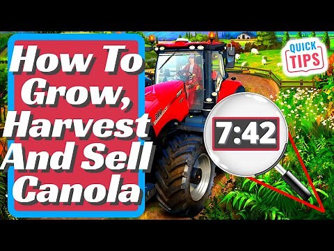 Farming Simulator 22 | Canola Complete Guide | How To Grow, Harvest And Sell Canola