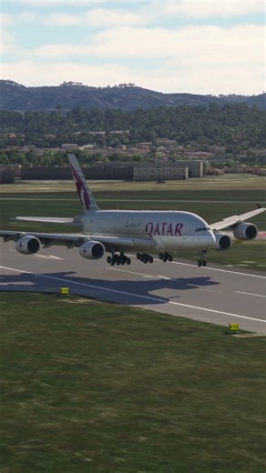 the pilot's actions endangered the plane's passengers EP291