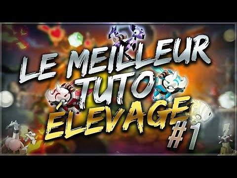LE MEILLEUR TUTORIEL ÉLEVAGE SUR DOFUS ! #1
