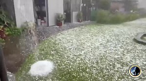 A nasty supercell has produced a ton of hail through Coutts Crossing, NSW - with some stones in the 4-5cm range! Video by HSC follower Shantelle | Higgins Storm Chasing