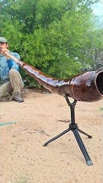 So Good! Testing Didgeridoo, the Queen in C #didgeridoomusic #SoulWinds #arizona