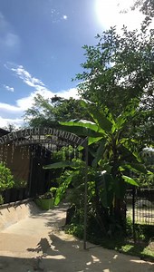 Have a delicious dinner or relaxing weekend surrounded by nature and produce-driven dishes 💚 Let’s show you around our restaurant and farm. Book a table with us at www.openfarmcommunity.com 👋🏼 | Open Farm Community