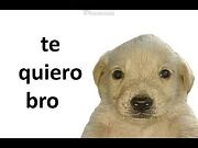 Hola esquizo - (Animation) video meme