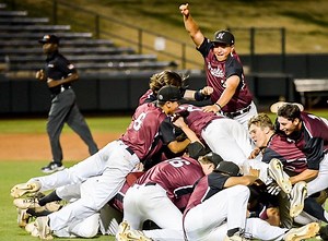 2018-19 high school baseball state champions
