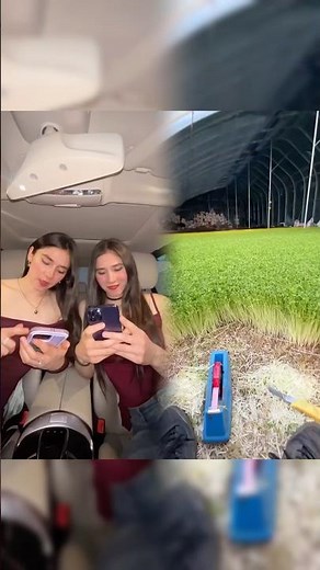 Twin Connection 😅💆🏻♀️ #tonguetwisters #twins