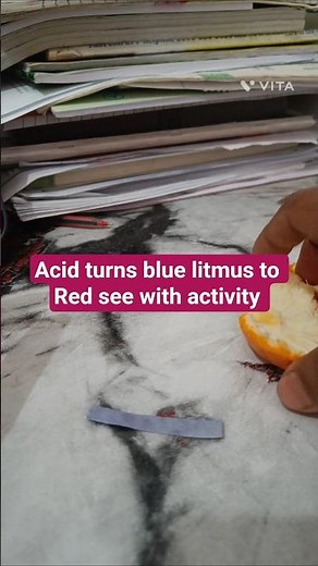 how blue litmus paper change their colours in acidic medium #shotrs #scienceexperiment