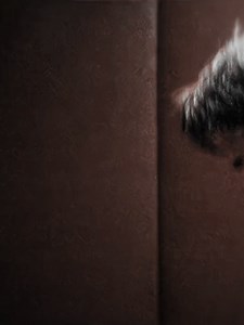 long ah intro | The syndicate/Apostle arc was so good || the original footage quality is so bad but we work with what we got || #missionimpossible #roguenation #fallout #ethanhunt #tomcruise #edit #edits #movies