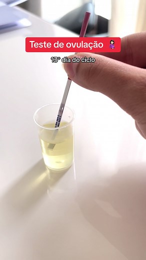 Teste de Ovulação: 13° Dia do Ciclo