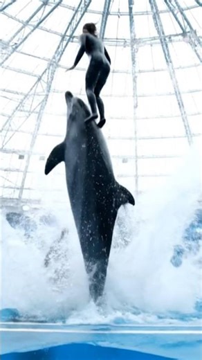 Epic 8K Dolphin Tower Leap | Jessica’s Cinematic Pool Stunt in Glass-Roof Arena#viral #ytshorts