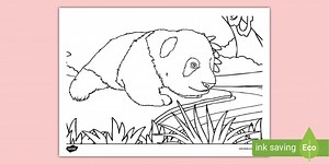Baby Panda Colouring Sheet