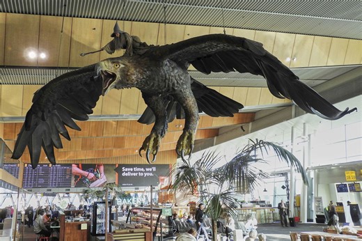 Huge ‘Hobbit’-themed eagle sculptures to depart New Zealand airport