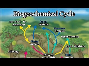 Biogeochemical Cycle in the Environment