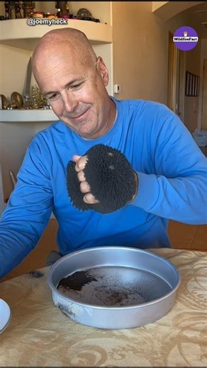 Never Make This Mistake While Two Strongest Magnet Get To Close #shorts #ytshorts