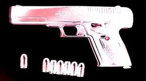 Gangland- New York Crips