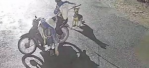 Ổ nhóm chuyên bắt trộm chó đêm khuya ‘lộ sáng’